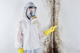 Mold Odor Removal Services in Tracy, MN